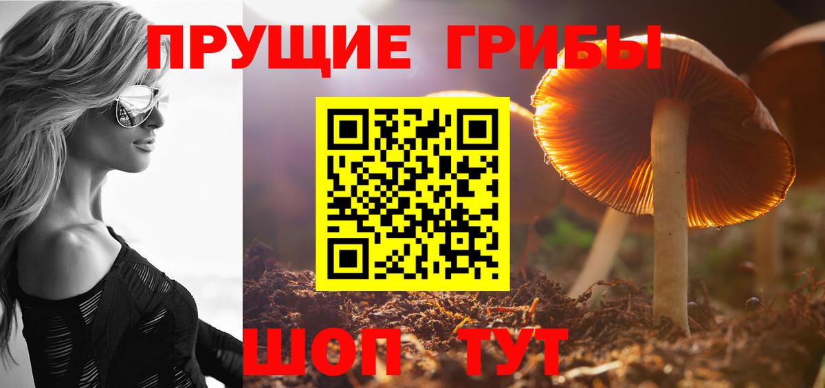 Галлюциногенные грибы ЛСД  Галлюциногенные грибы мухоморы  Медногорск  Вход с VPN 